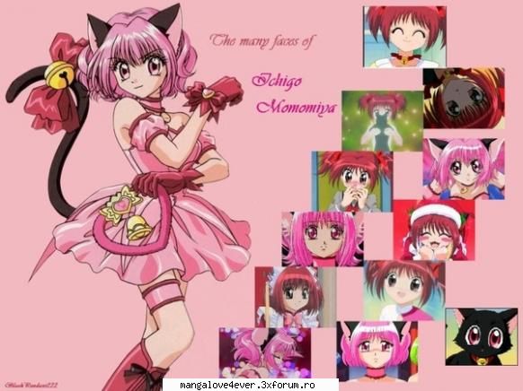 Poze - Mew Mew Stile , Mew Mew Grace , Mew Mew Power In - Tokyo Mew Mew